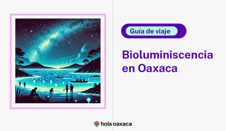 laguna bioluminiscencia en Oaxaca